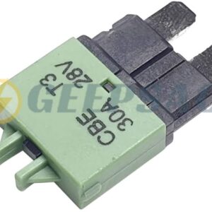 Fusible Reseteable 30A